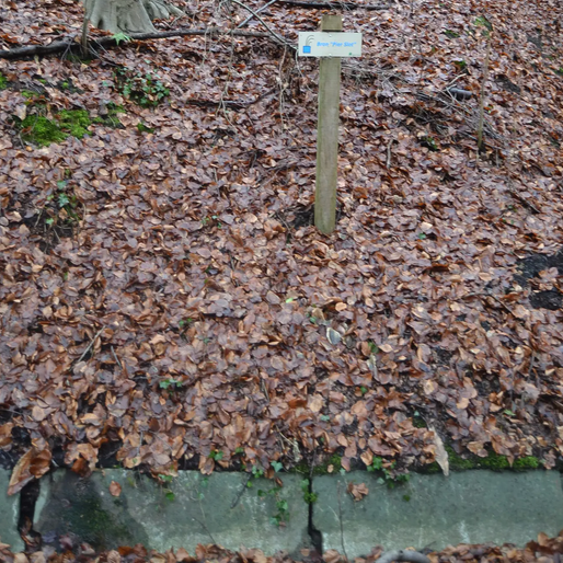 Bron Pier Slot Sint-Joris-Weert Bron Pier Slot Sint-Joris-Weert