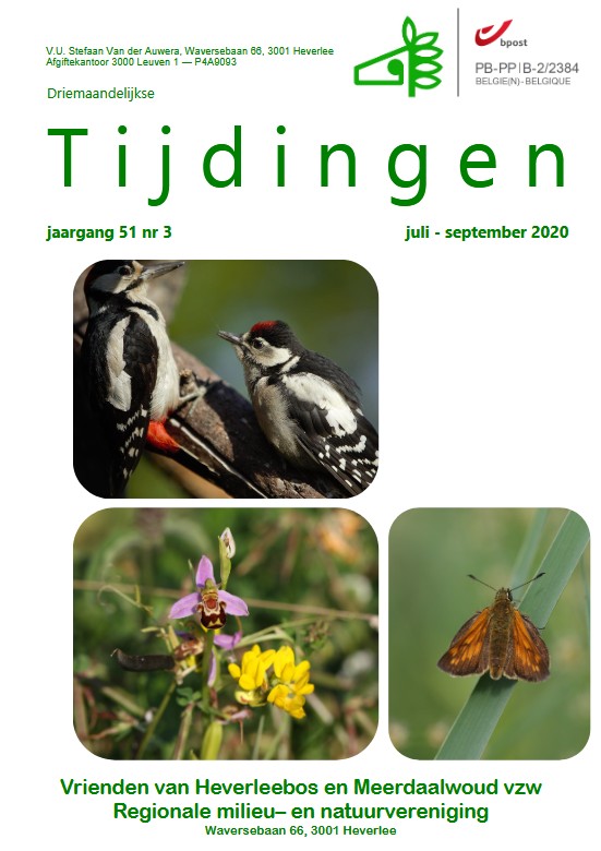 Tijdingen 2020_3