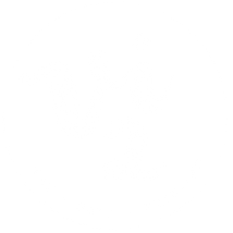 Vi 2