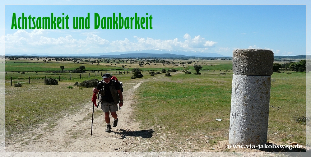 Achtsamkeit und Dankbarkeit