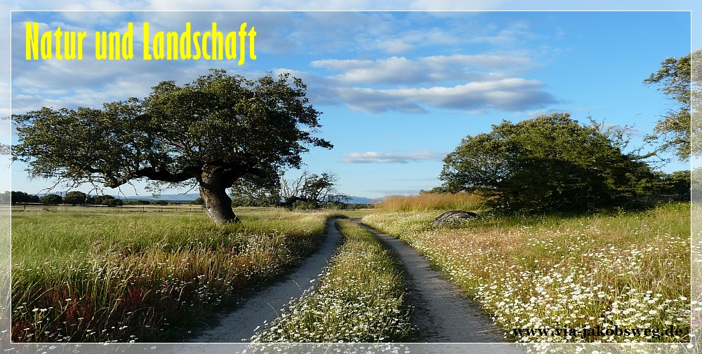 Natur und Landschaft