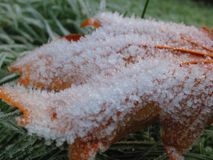 IMG_8939