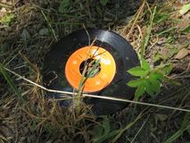 IMG_4154