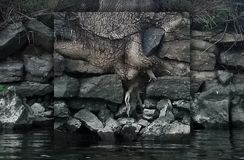 30113_mirror6