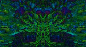 background mit baum