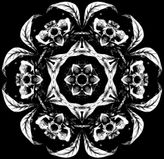 skullflower gr