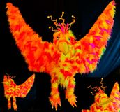 2023 paradiesvogel