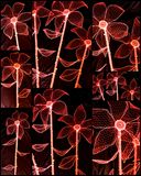 2025 blumen statt zaeune 250cm