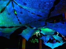 PSX_20220619_085928