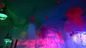 DSC_0384 (2)