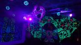 cae7951630-Blacklight Decoration-DSC_1957 (2)