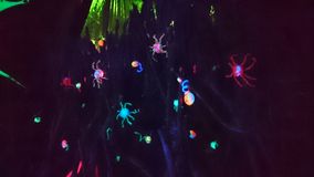 DSC_0544 (2)