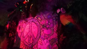 DSC_1521 (2)