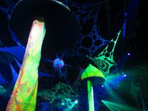 IMG_8631 (2)