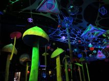 IMG_9239