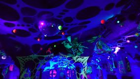 20664169_1438875062864515_7409282932774204592_n