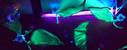 _20171025_180612