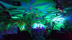 stammzelle nachtsalon marburg (11)