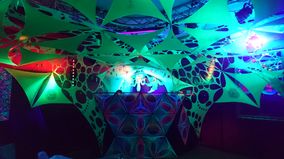 stammzelle nachtsalon marburg (2)