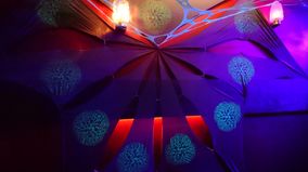 stammzelle nachtsalon marburg (65)