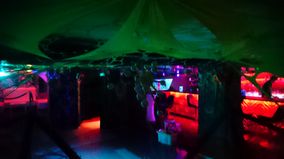 psydelica nox (1)