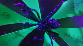 stammzelle twisted vision (191)