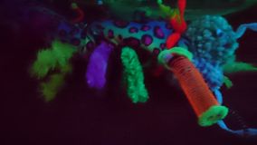 stammzelle twisted vision (231)