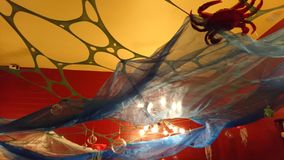 stammzelle twisted vision (273)