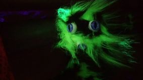 magic castle festival (262)