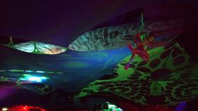 tanz indie mai grimms tales (213)