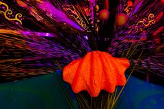 PSX_20190217_135930 (2)