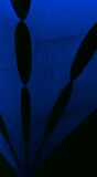 PSX_20190603_073526
