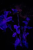 PSX_20191008_134745