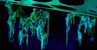 trance zen dance root sector (5)