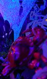 PSX_20230523_073659
