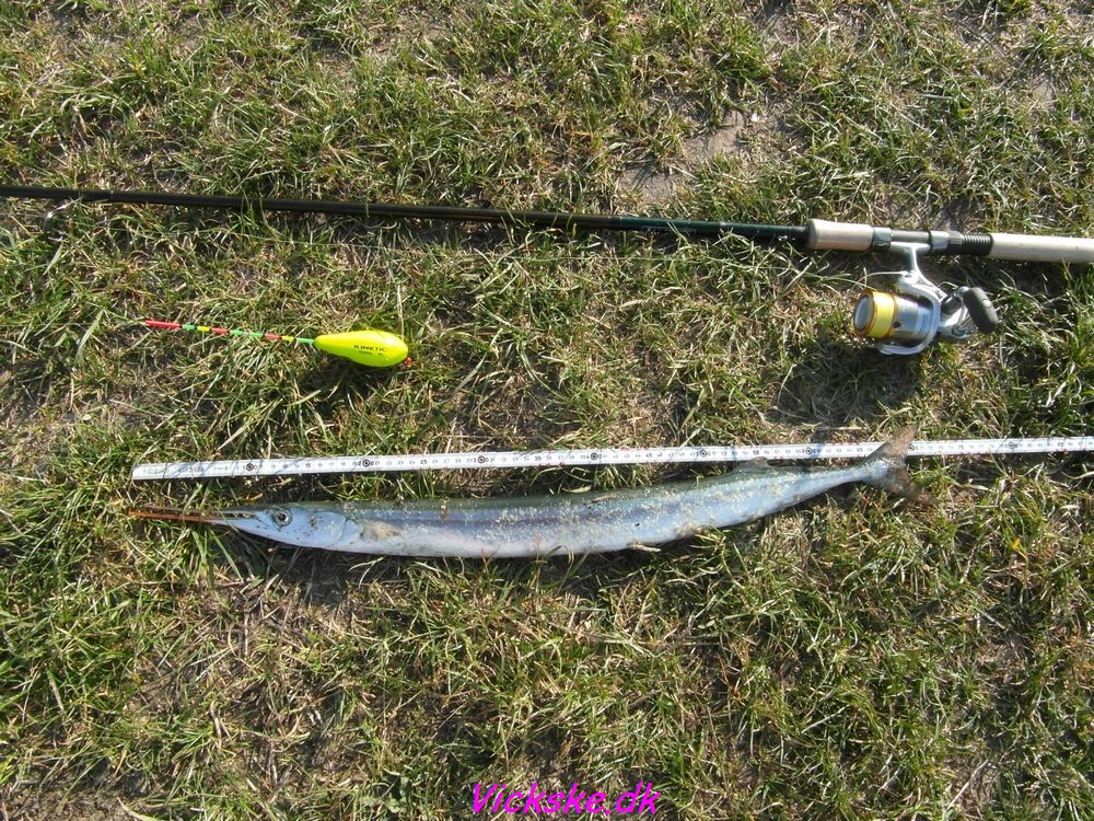 70 cm