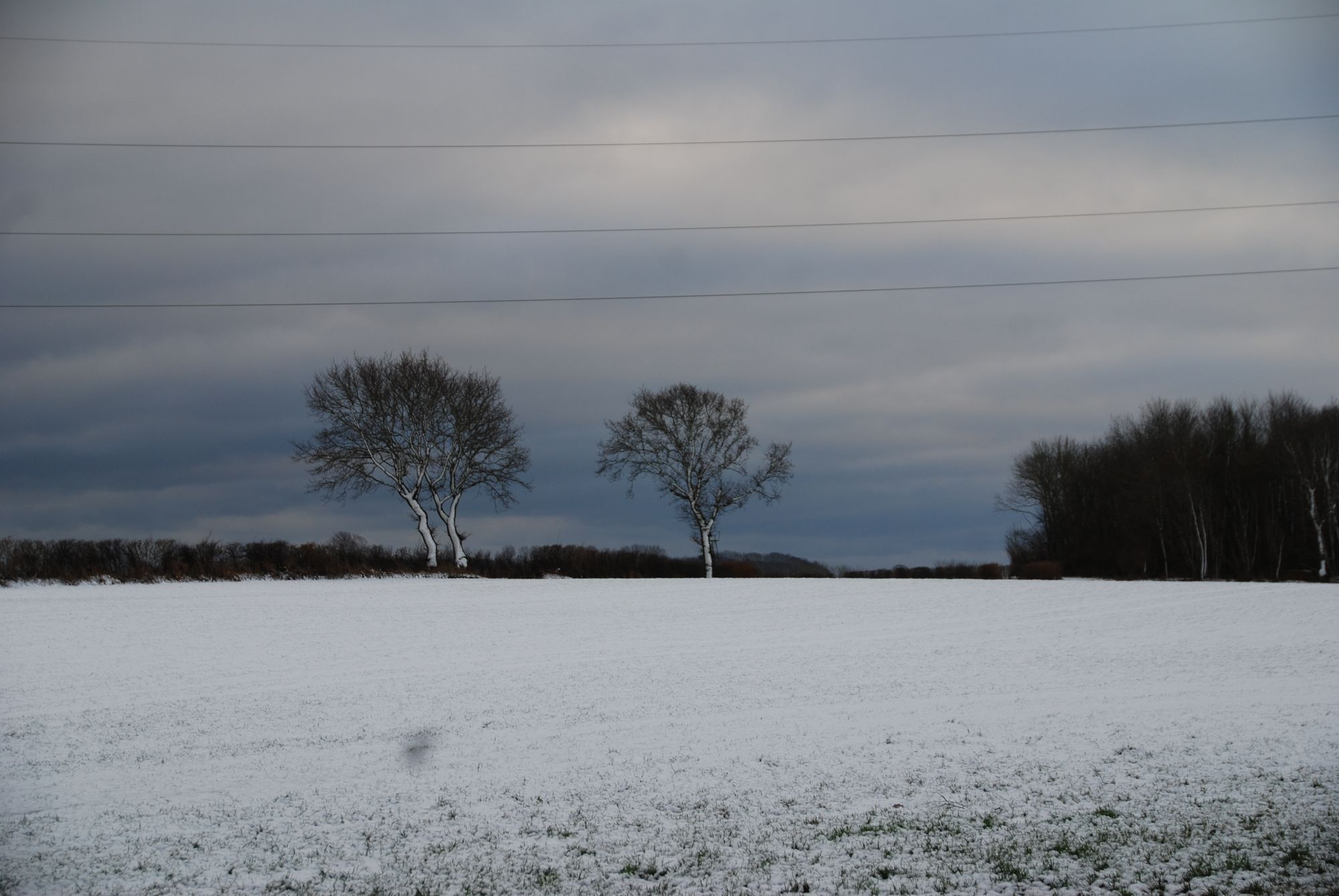 tn_2021-1-14 (19)