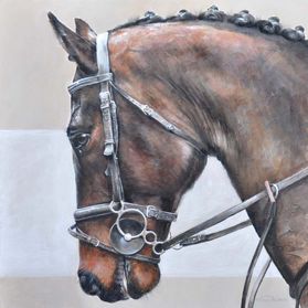 HORSE OFCOURSE
