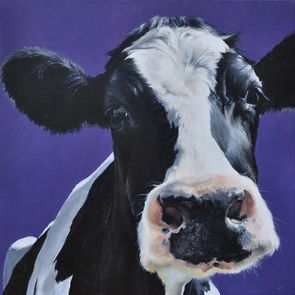 NOSEY COW