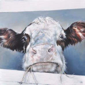 heycow