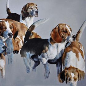 STILL BEAGLING