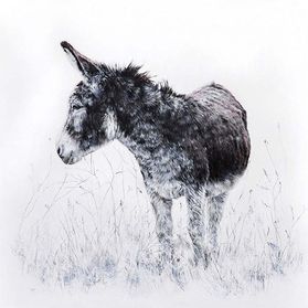 WINTER WOOLY