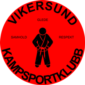 Vikersund Kampsportklubb