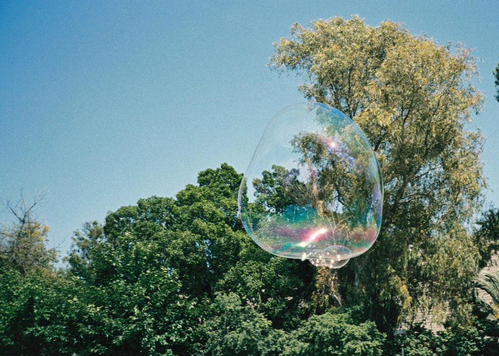 35mm Palma