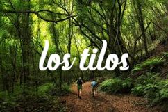 Los Tilos