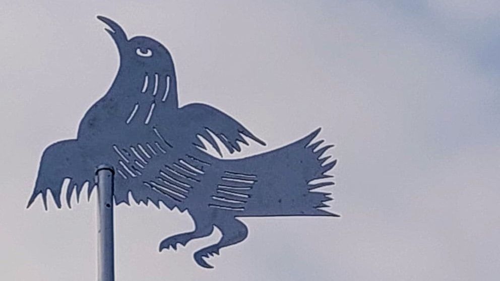 Windwijzer "Pardalot vogel"