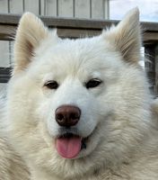 Wilma