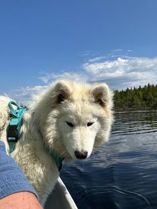 Ella