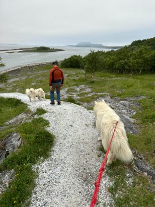 Klubben i Brønnøysund