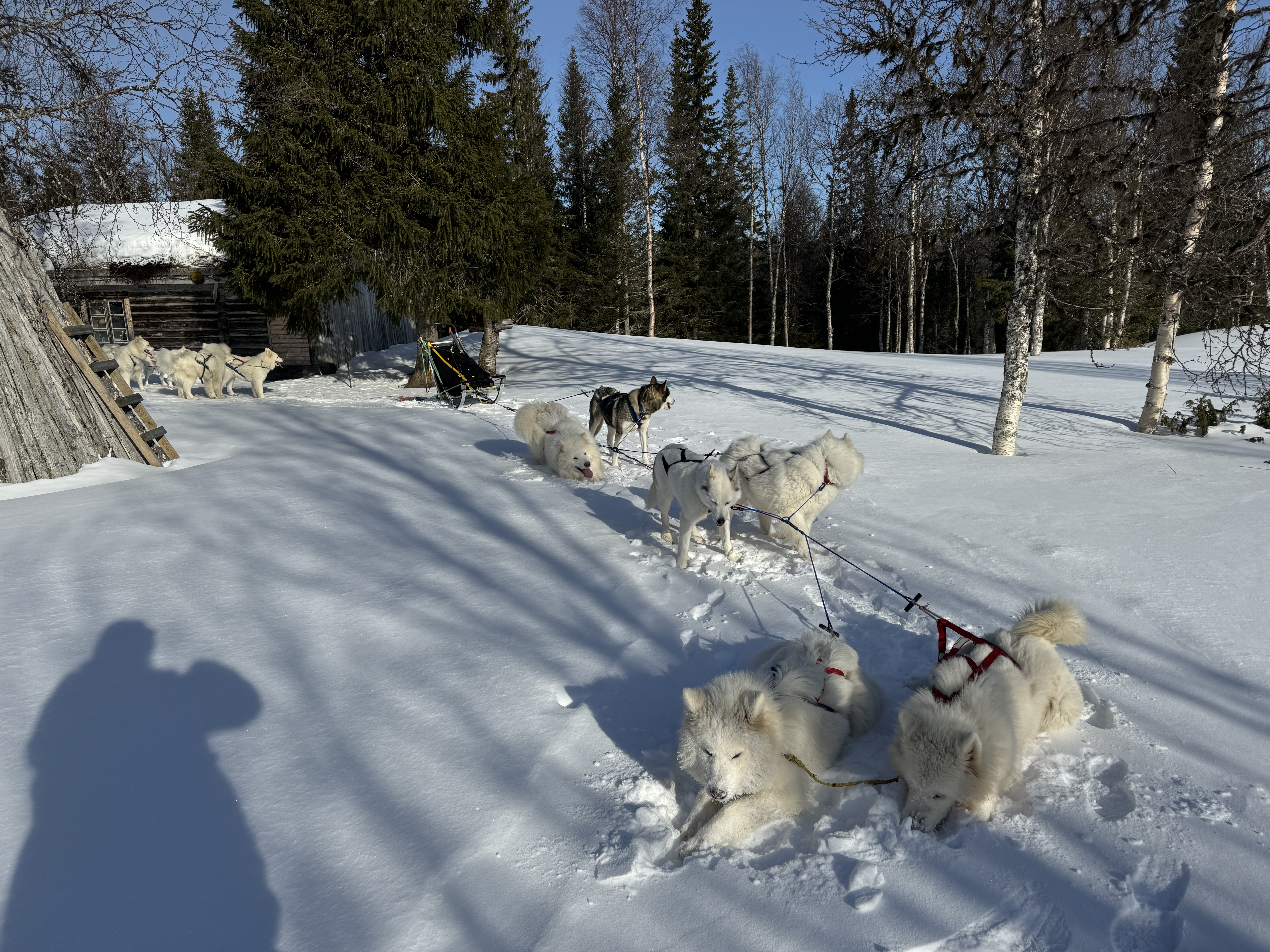 Bengtseteren med selskap av Daniel Himo 